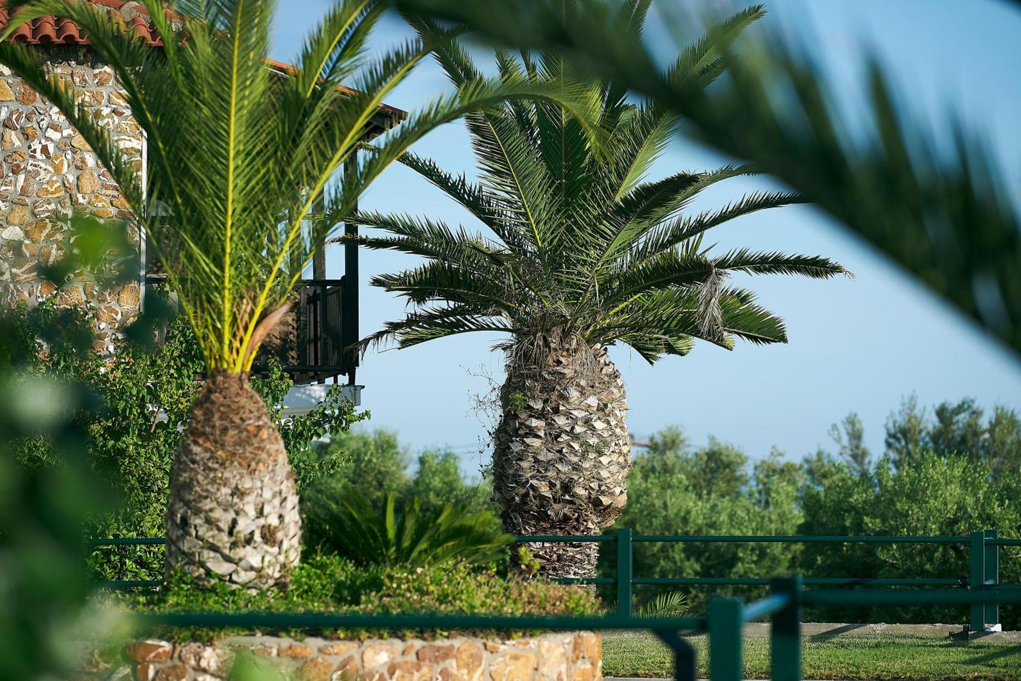 Glavas Inn Hotel Gerakini Dış mekan fotoğraf