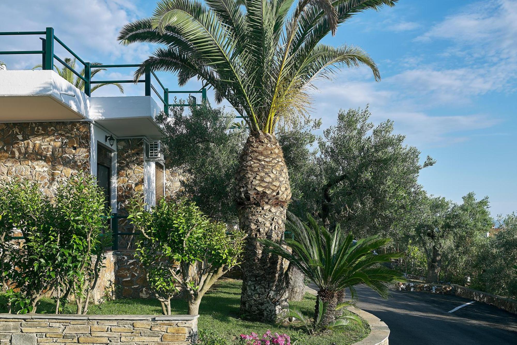 Glavas Inn Hotel Gerakini Dış mekan fotoğraf